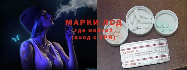 apvp Бородино