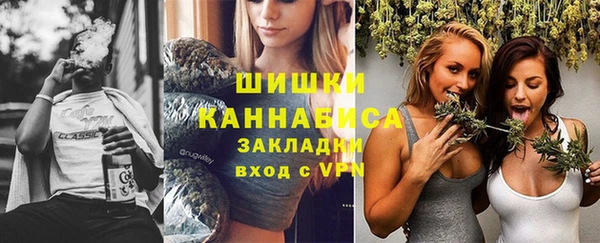 ПСИЛОЦИБИНОВЫЕ ГРИБЫ Верхний Тагил
