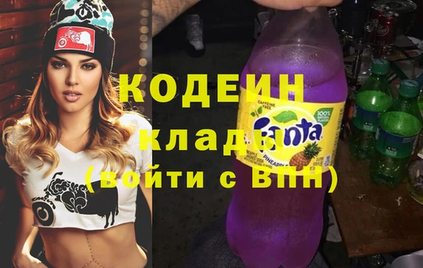 apvp Бородино