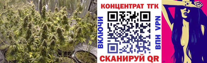 ТГК вейп Северобайкальск