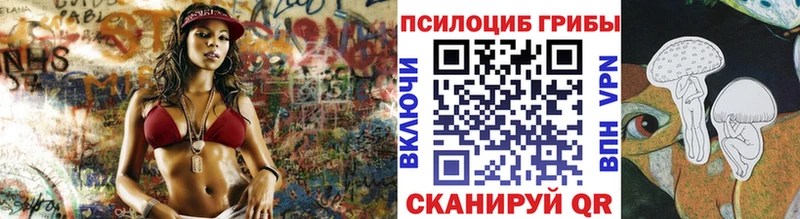 Псилоцибиновые грибы прущие грибы  где продают наркотики  ссылка на мегу онион  Северобайкальск 